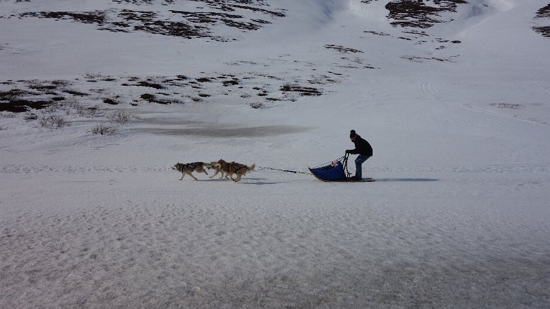 Dog sledding (22).JPG